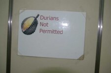 durian.JPG