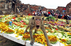 monkeybuffet21.jpg