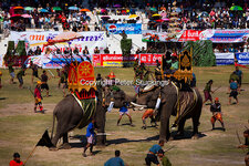 Thailand-Surin-ElephantRoundup-11.jpg