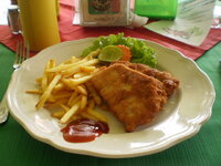 schnitzel_001.jpg