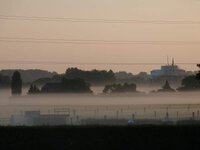 blick_aus_dem_fenster_2_017.jpg