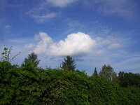 20130809_082912.jpg