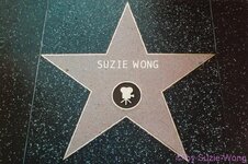 Suzie Wong Hollywood-Stern.jpg