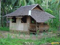 siargao_haus.jpg