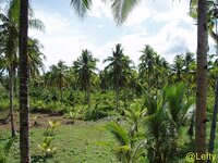 siargao_buddha_aussicht_room_03.jpg