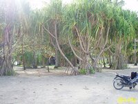 siargao_strand__zu_verkaufen_05.jpg