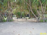 siargao_strand__zu_verkaufen_06.jpg