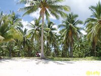 siargao_strand__08.jpg