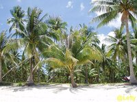 siargao_strand__09.jpg