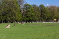 lainzer-tiergarten-ausflugsziel-wien.jpg