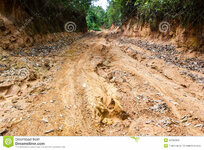 rain-forest-dirt-road-rural-northern-thailand-41994940.jpg