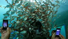 Nong Khai Aquarium 5.JPG