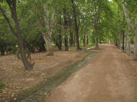 Argentinie-Mendoza ''Park General San Martin'' (14).JPG