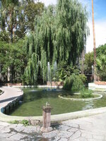 Argentinie-Mendoza ''Plaza San Martin'' (4).jpg