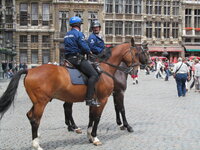 Belgie-Brussel ''Grote Markt'' (10).jpg