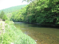 Belgie-La Roche en Ardenne ''Ourthe'' (2).JPG