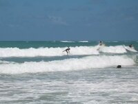 Brasil-Porto de Galinhas (4).jpg