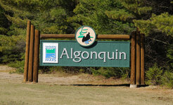 Canada-Ontario ''Algonquin Park'' (2).jpg