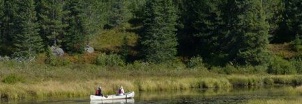 Canada-Ontario ''Algonquin Park'' (5).jpg