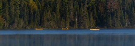 Canada-Ontario ''Algonquin Park'' (6).jpg