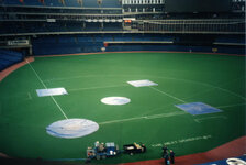 Canada-Ontario ''Toronto'' Skydome (2).jpg