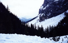 Canada-Alberta ''Lake Louise'' (10).jpg