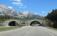 Canada-Alberta ''Banff'' National Park ''Wildlife Overpass'' (2).jpg