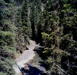 Canada-Alberta ''Johnston Canyon'' (2).jpg