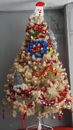 Weihnachtsbaum 1 - DSC02663.jpg