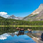 Canada-Britisch Columbia ''Glacier National Park'' (2).jpg