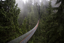 Canada-Britisch Columbia ''Vancouver'' Capilano suspension Bridge (8).jpg