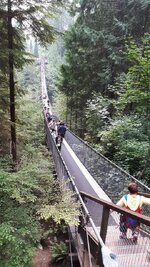 Canada-Britisch Columbia ''Vancouver'' Capilano suspension Bridge (10).jpg