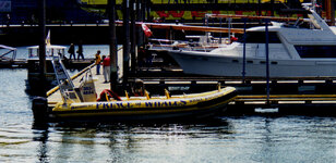 Canada-Britisch Columbia ''Victoria'' Whale Watching (1).jpg