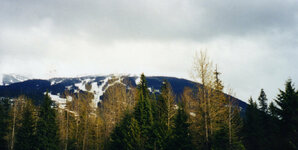 Canada-Britisch Columbia ''Whistler Mountain'' (8).jpg