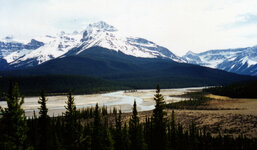 Canada-Alberta ''Jasper National Park Icefields Parkway'' (2).jpg