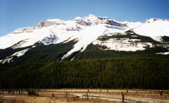 Canada-Alberta ''Jasper National Park Icefields Parkway'' (3).jpg