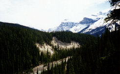 Canada-Alberta ''Jasper National Park Icefields Parkway'' (5).jpg