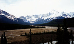 Canada-Alberta ''Jasper National Park Icefields Parkway'' (7).jpg