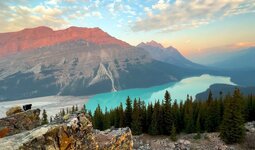 Canada-Alberta ''Banff-Peyto Lake'' (2).jpg