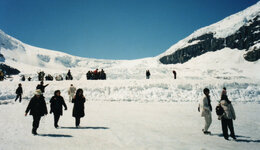 Canada-Alberta ''Jasper National Park Athabasca Glacier'' (4).jpg