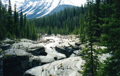 Canada-Alberta ''Jasper National Park-Icefields Parkway'' Mistaya Canyon'' (3).jpg