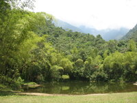 Colombia-Cali ''Nationaal park'' (11).JPG