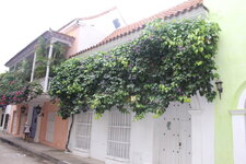 Colombia-Cartagena ''Innenstadt'' (38).JPG