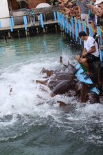 Colombia-Cartagena ''Isla de Rosario'' (35).JPG