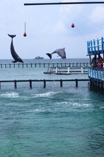 Colombia-Cartagena ''Isla de Rosario'' (49).JPG