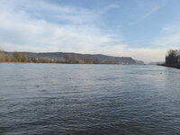 Duitsland-Bad Breisig ''Rhein'' (6).JPG