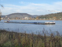 Duitsland-Bad Breisig ''Rhein'' (17).JPG