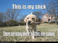 cyoot-puppy-ob-teh-day-this-is-my-stick.png