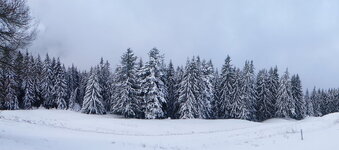 Duitsland-Berchtesgaden ''Roßfeldpanoramastraße'' (24).JPG