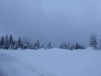 Duitsland-Berchtesgaden ''Roßfeldpanoramastraße'' (26).JPG